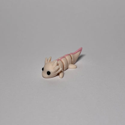 Axolotl