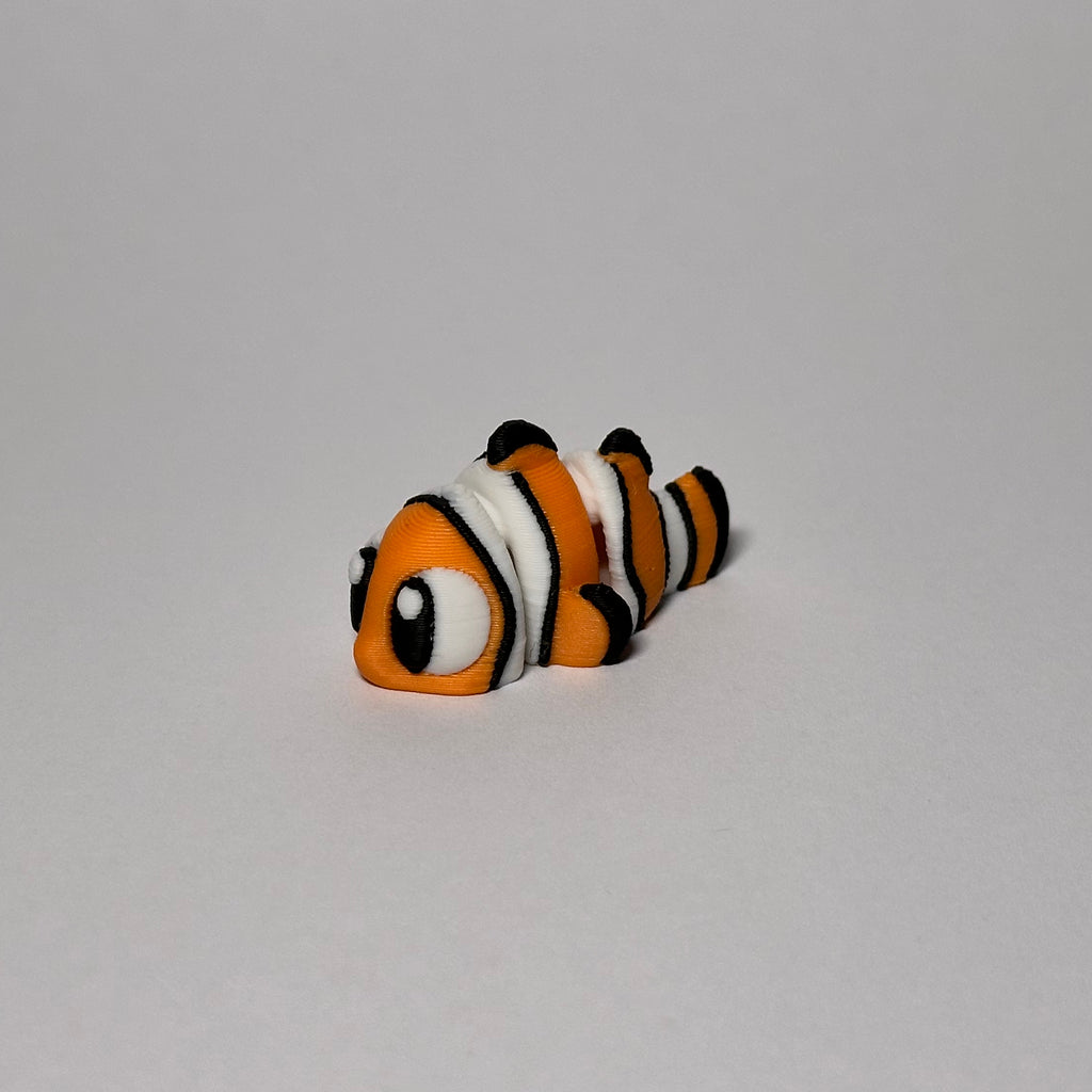 Clown Fish