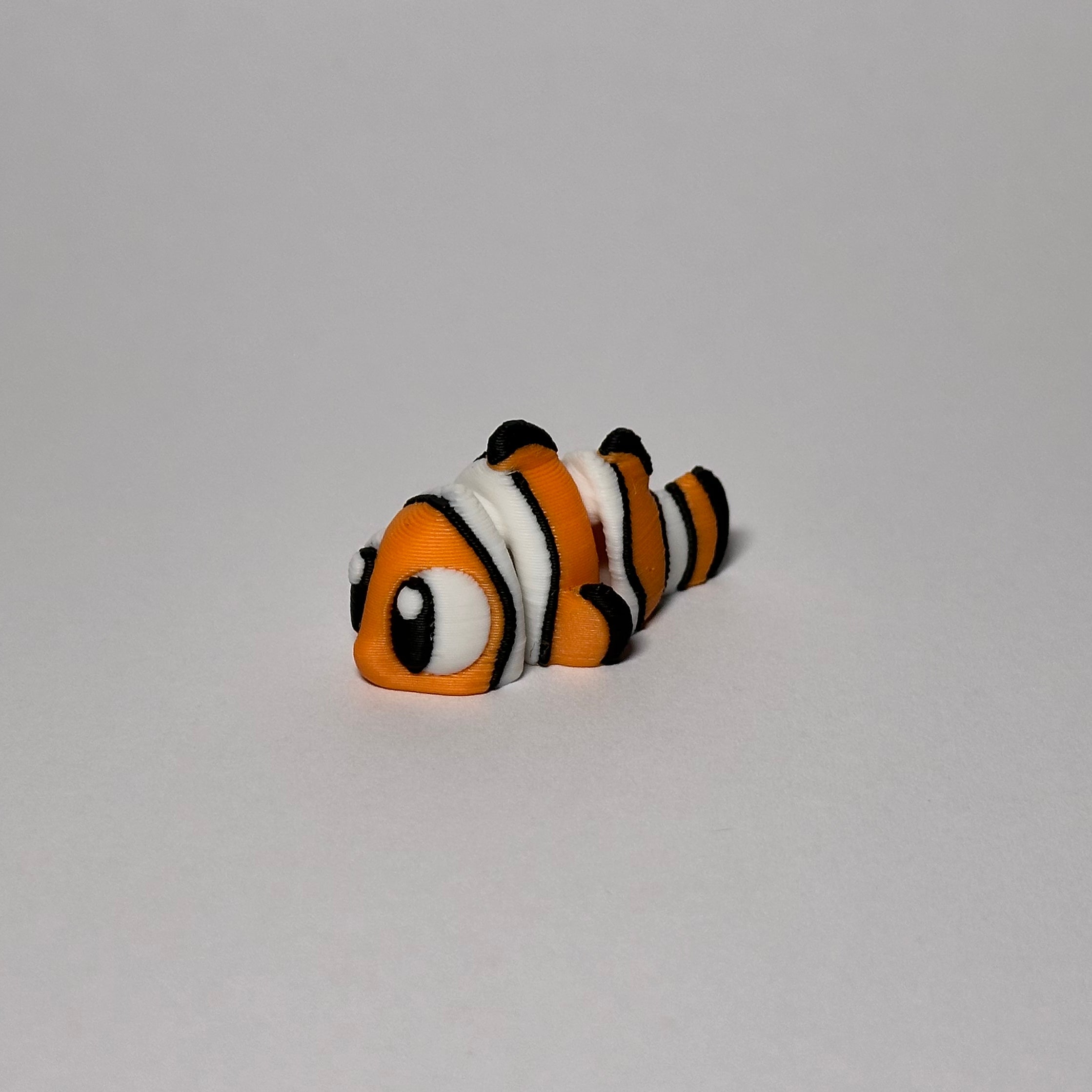 Clown Fish