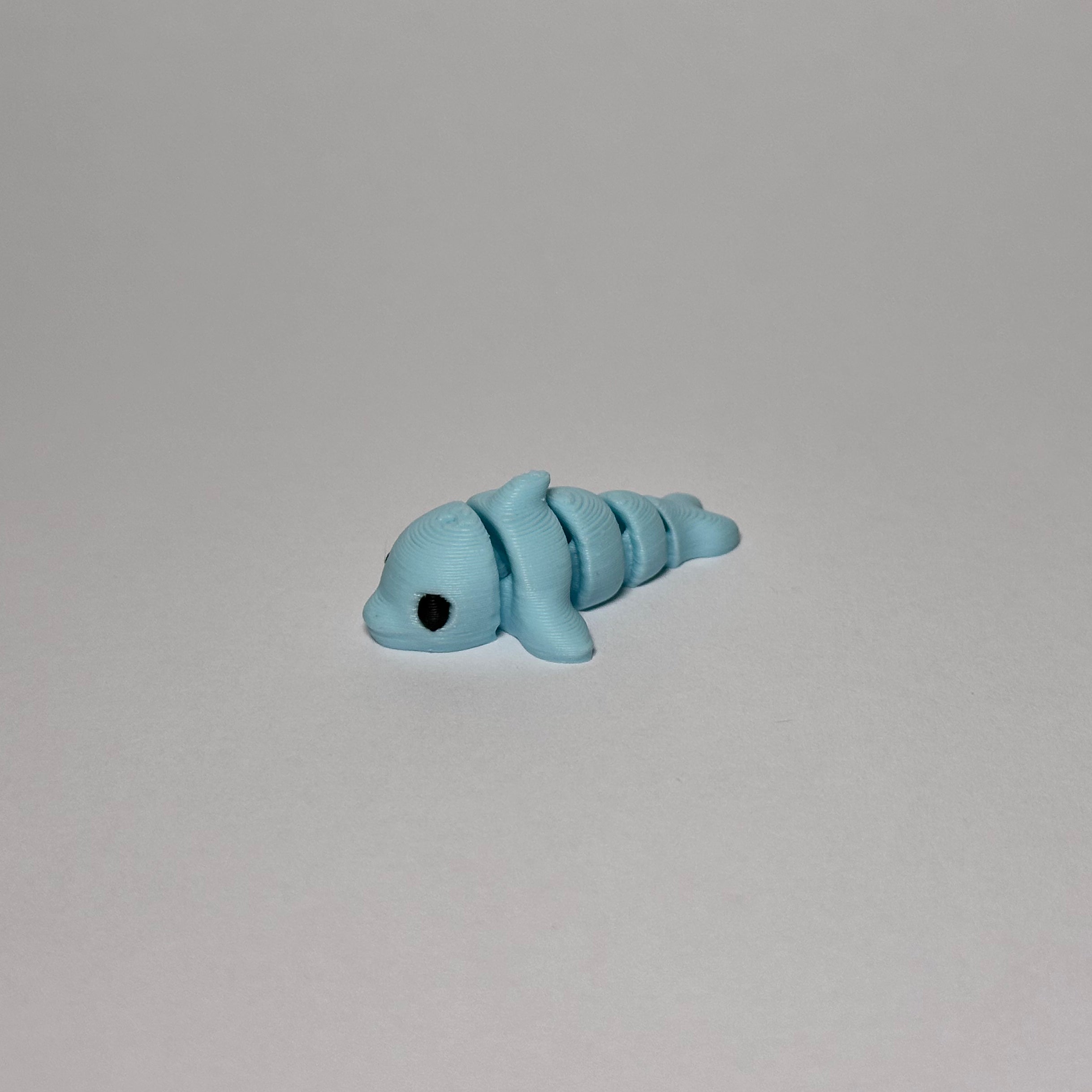 Dolphin