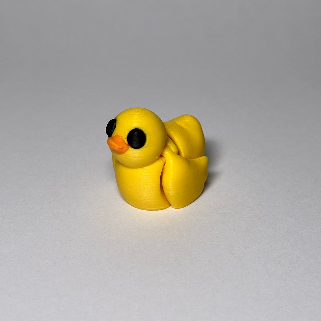 Duck