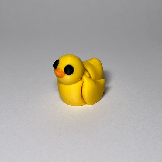 Duck