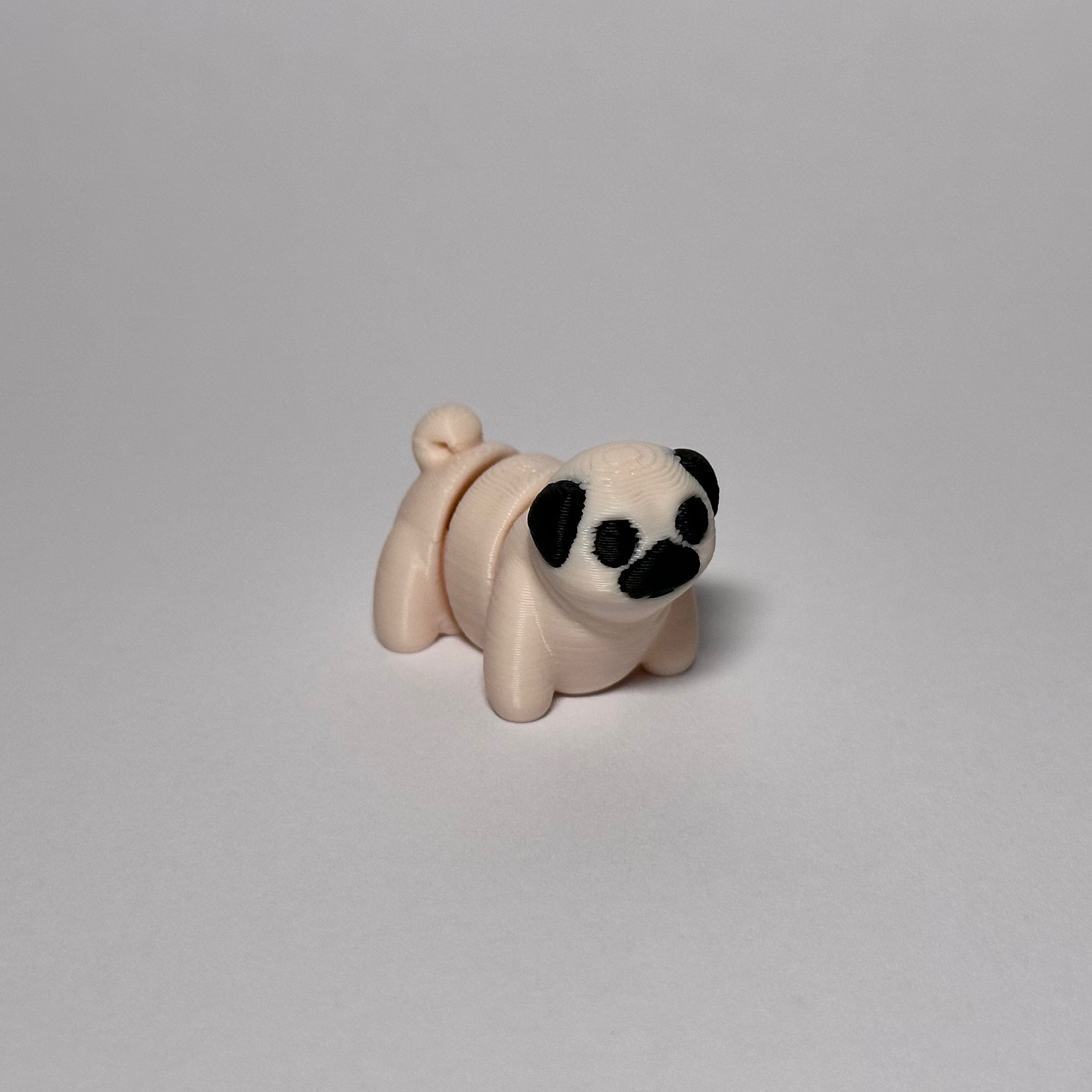 Pug