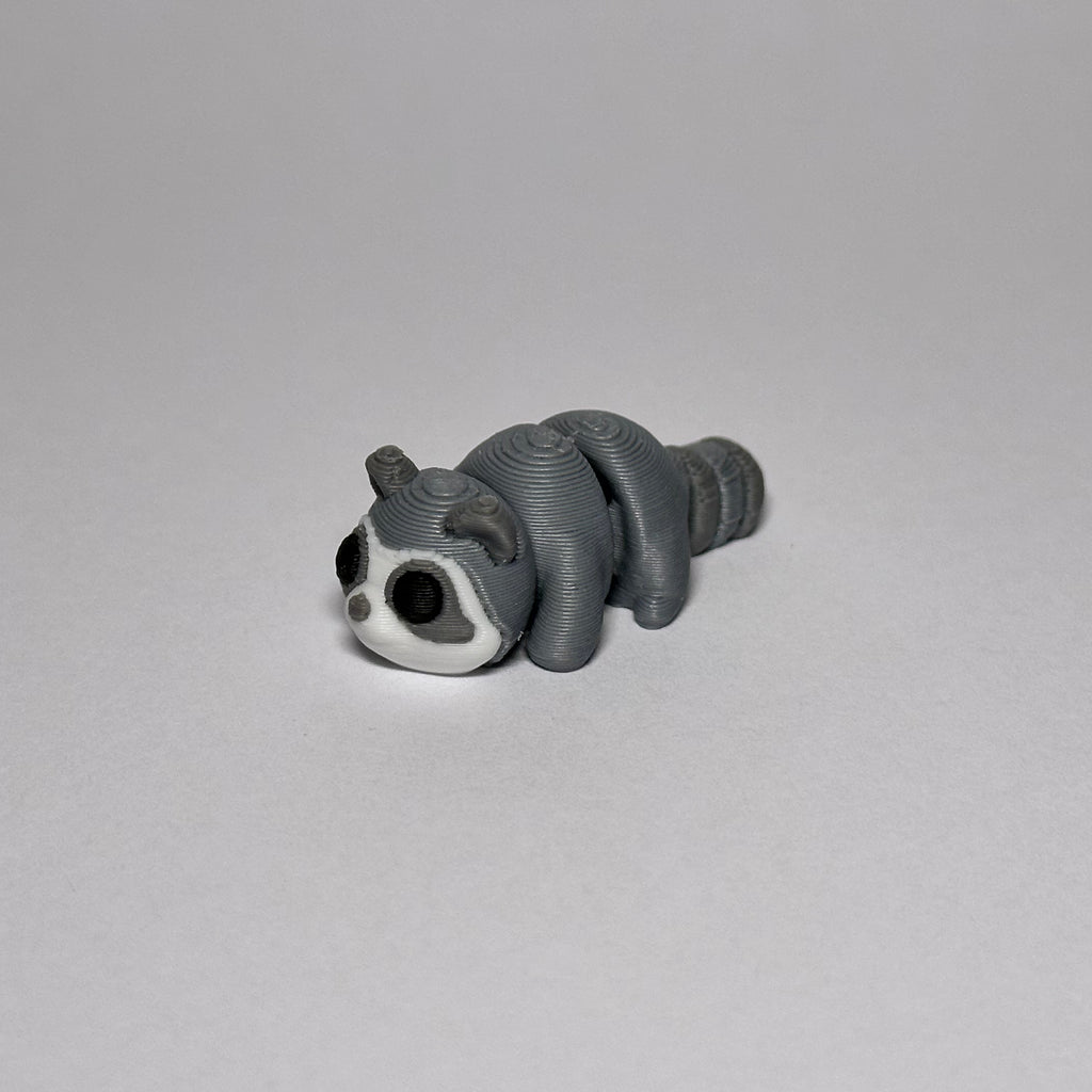 Raccoon