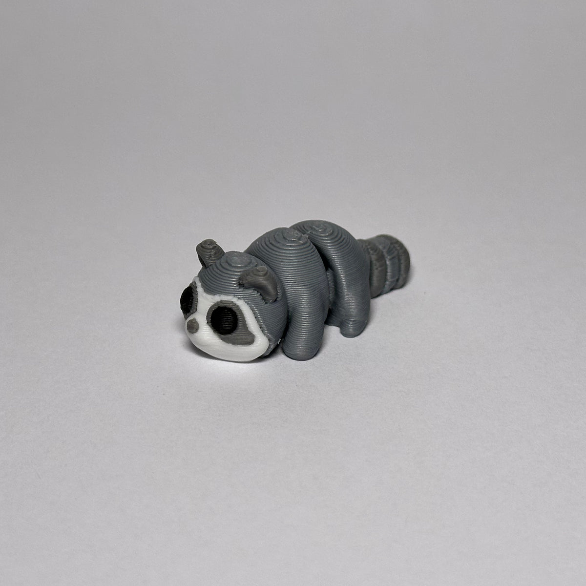 Raccoon