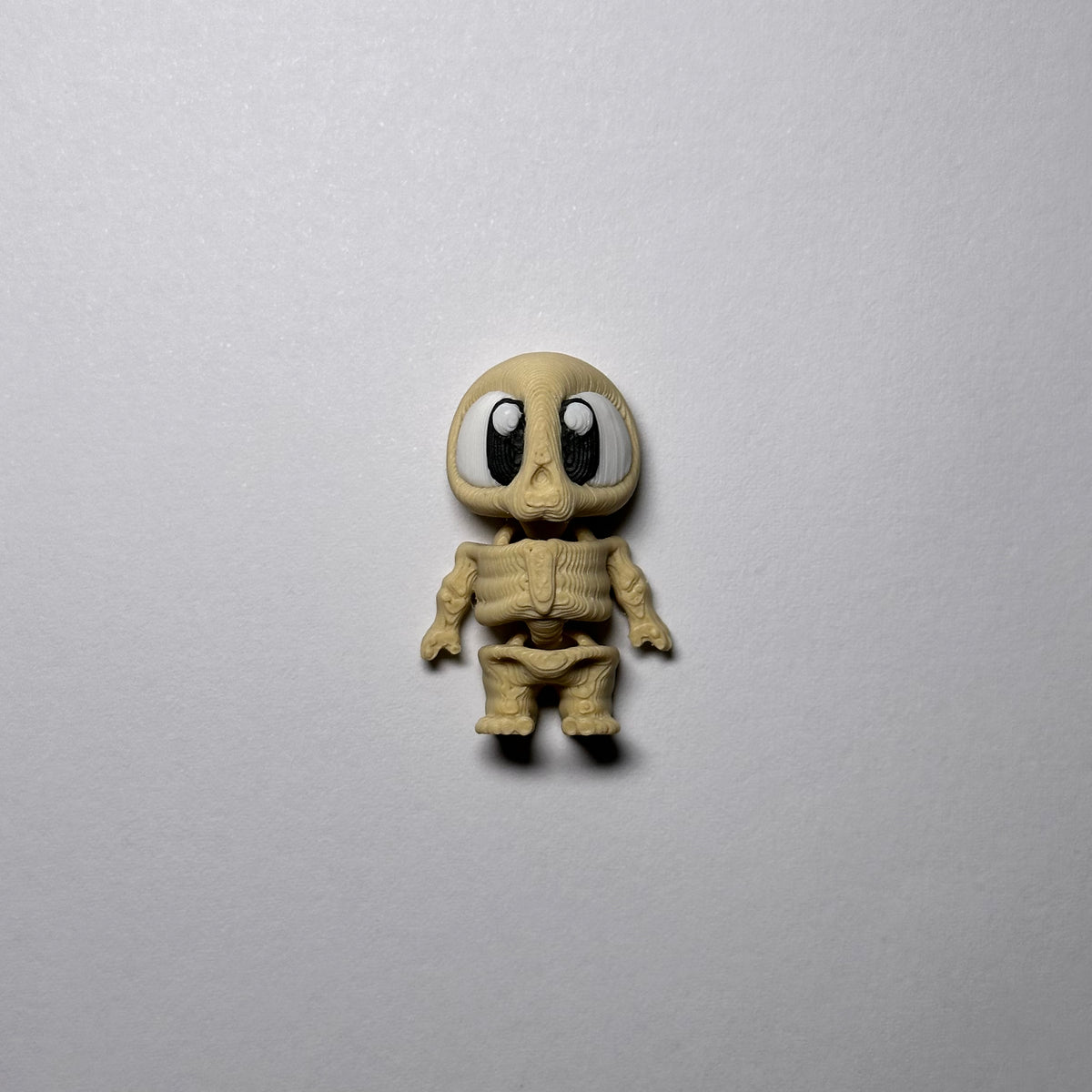 Skeleton