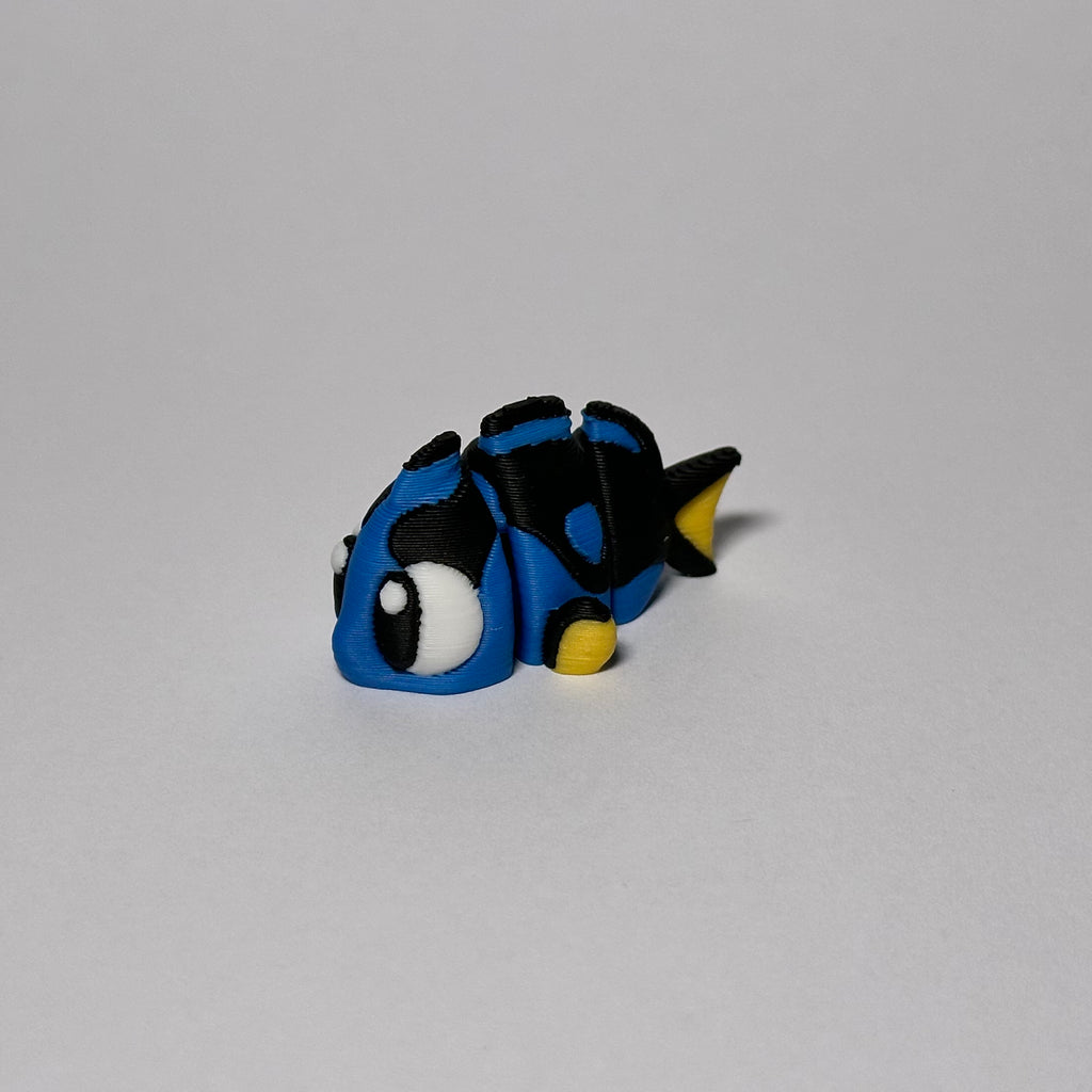 Surgeon Fish