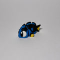 Surgeon Fish
