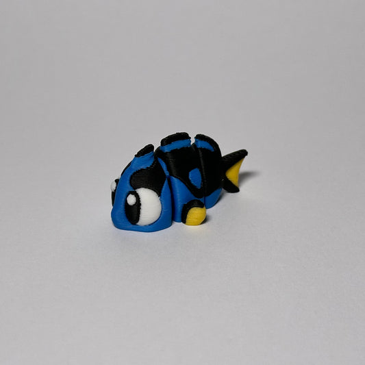 Surgeon Fish